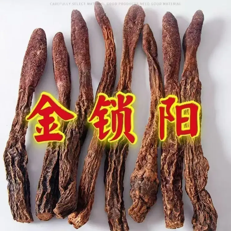 金锁阳内蒙野生金锁根阳特级精选整根整个可泡酒煮水泡茶搭配麦冬