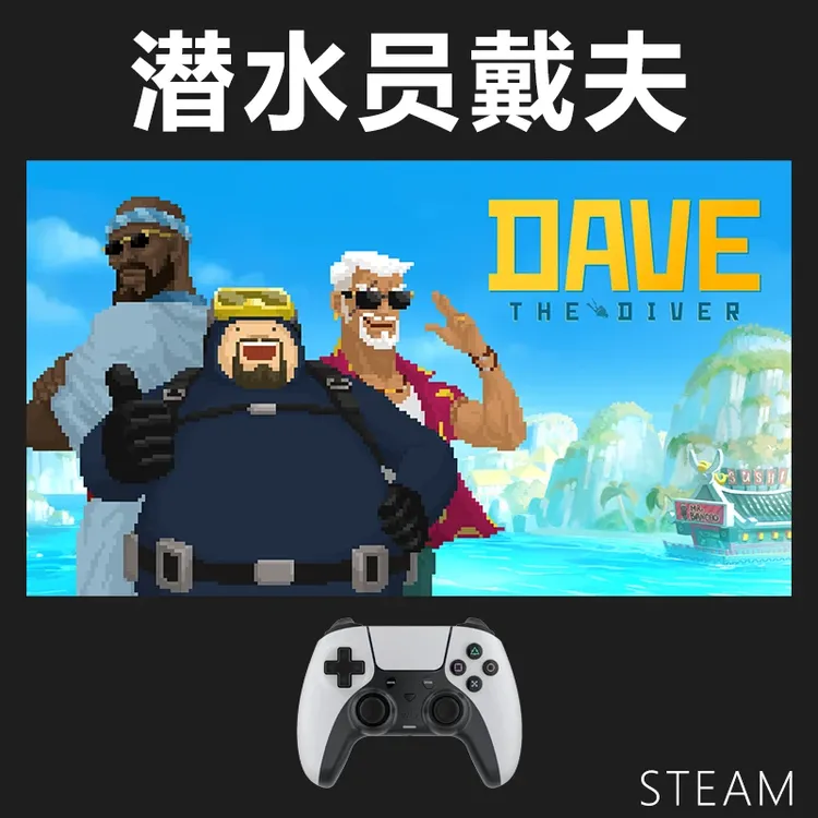 【潜水员戴夫】入库支持游戏支持 PC无线游戏手柄蓝牙有线双人