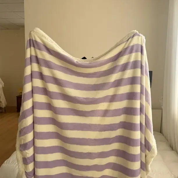 新款高克重拉舍尔绒毛毯冬季加厚双面珊瑚绒柔软亲肤午睡盖毯