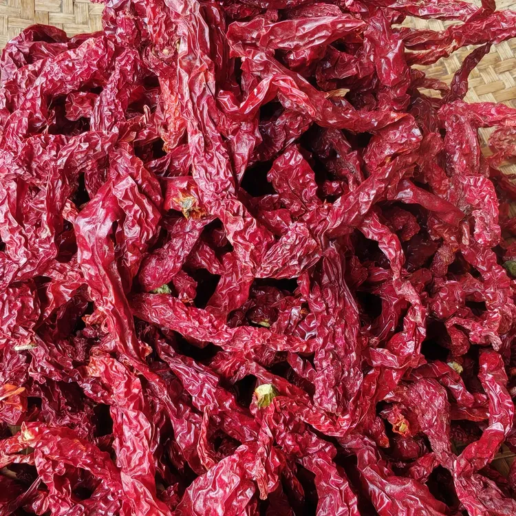 微辣超香正宗干红辣椒特香大方干辣椒贵州皱皮辣椒皱皮皱椒皮线椒