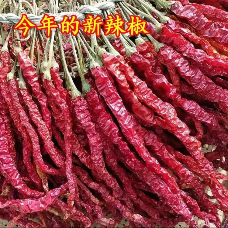 新疆特产皱椒鸡爪辣干辣椒皮薄肉厚特香包邮