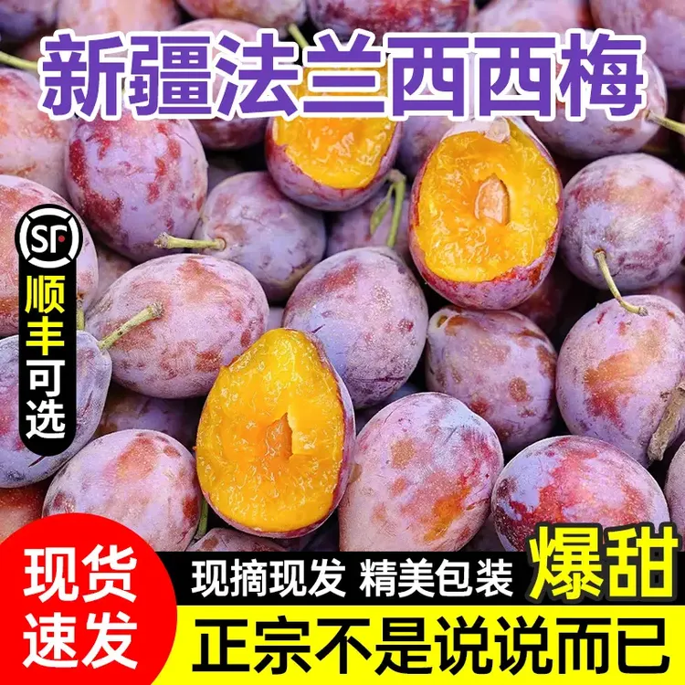 【顺丰直达】新疆法兰西西梅爆甜西梅大李子当季孕妇新鲜水果西梅