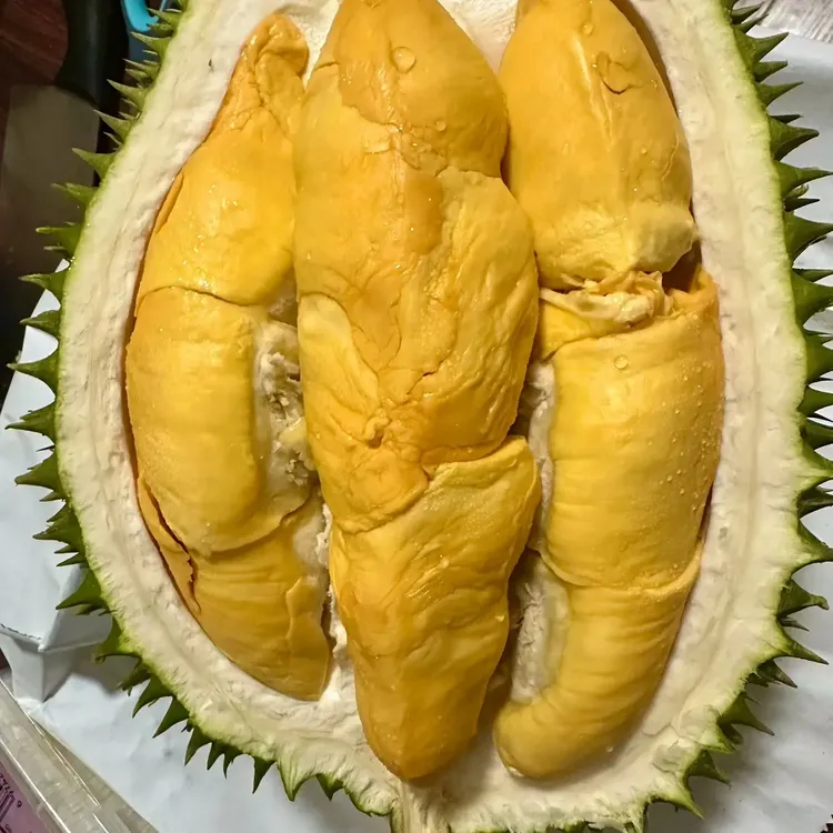 顺丰直邮液氮马来西亚树熟榴莲红肉101冷冻有核树上熟应季水果