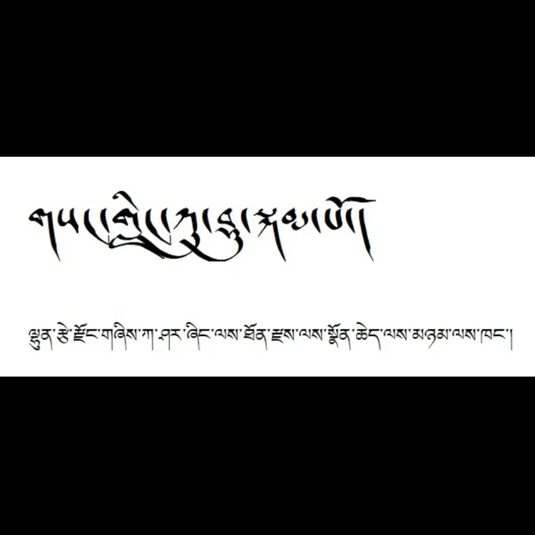 三林苹果（80） 只发西藏区内  5袋装