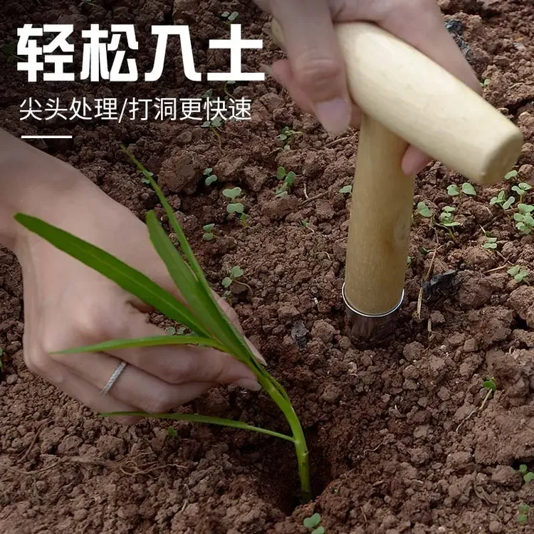 园艺打孔器种菜专用农业工具移栽打孔器泥土打洞移苗器家用播种器商品图