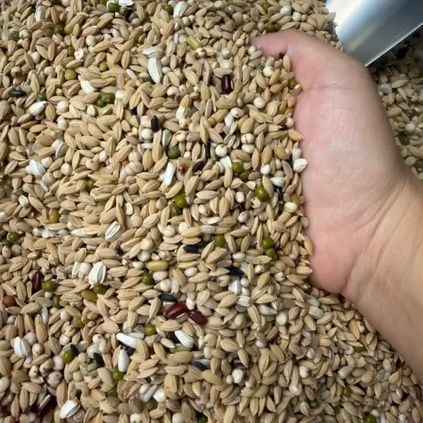 欧洲实战清除粮 无大小麦红高粱 高纤维低热量鸽子换羽控体重通用