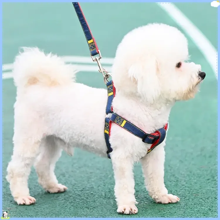 狗狗牵引绳大中小型犬狗链子狗项圈泰迪毛遛狗绳子宠物绳可爱A234