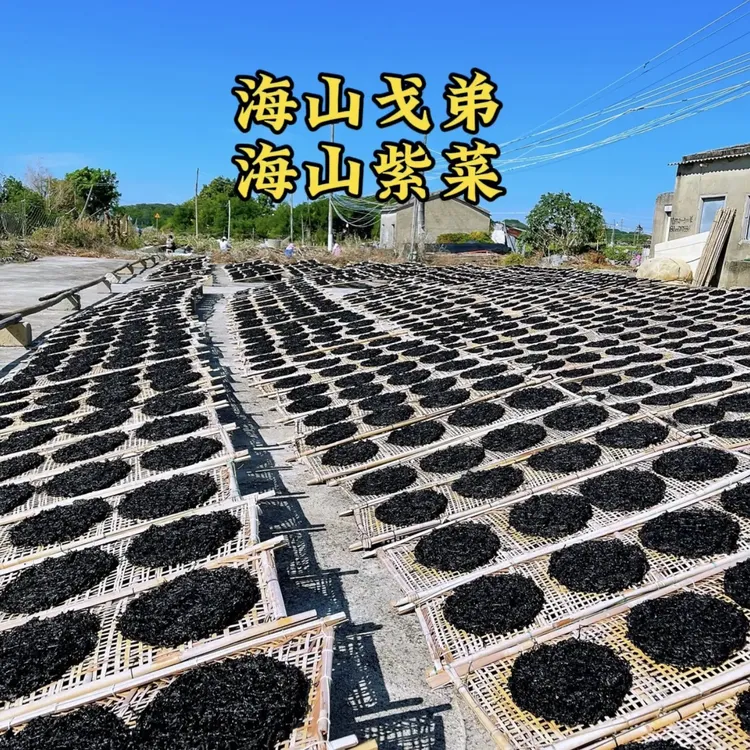 海山头水紫菜免洗无沙海产干货日晒紫菜蛋花汤煲汤调料500克