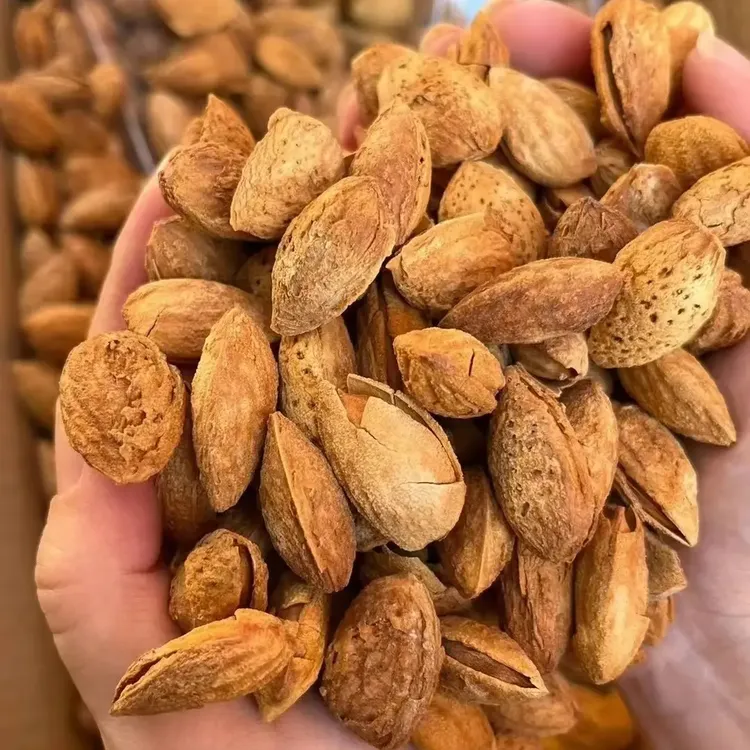 中秋节上品尊礼手提坚果腰果组合礼盒