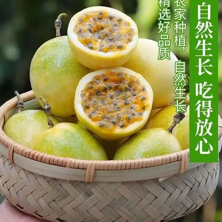 广西钦蜜9号黄金百香果新鲜现摘当季水果鲜甜多汁
