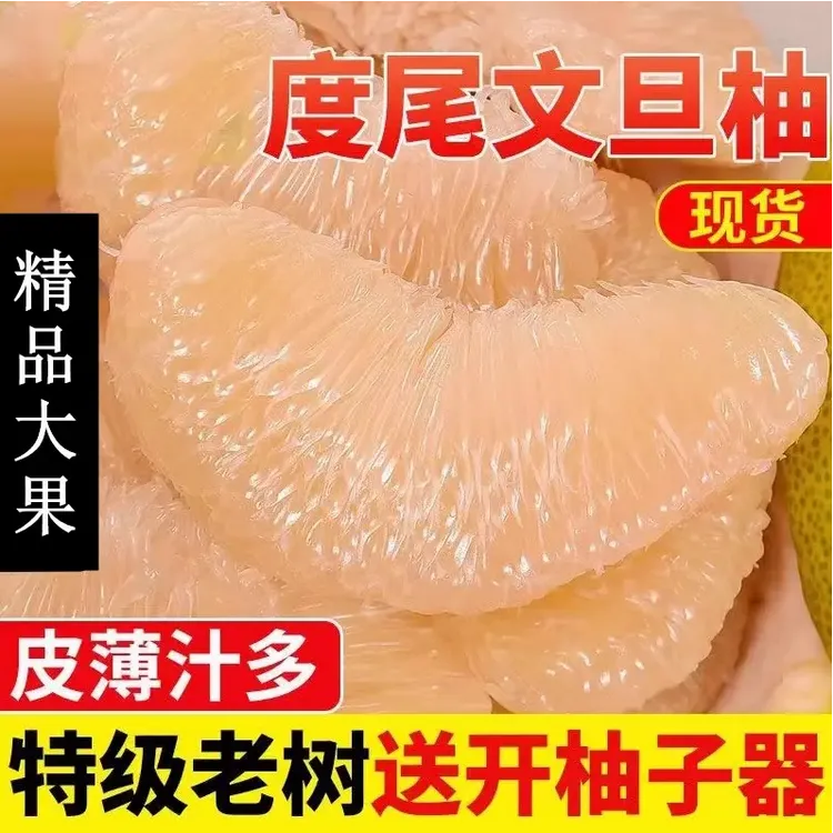 福建度尾文旦柚老树果当季现摘白心红心正宗度尾老树文旦柚