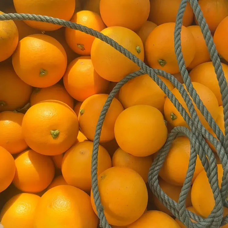 正宗安化河边冰糖柑新鲜水果现摘现发产应季甜冰糖橙皮薄肉厚