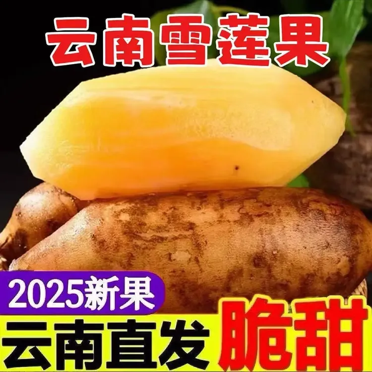 【现挖现发】云南天山雪连果应季水果3-9斤产地包邮直发