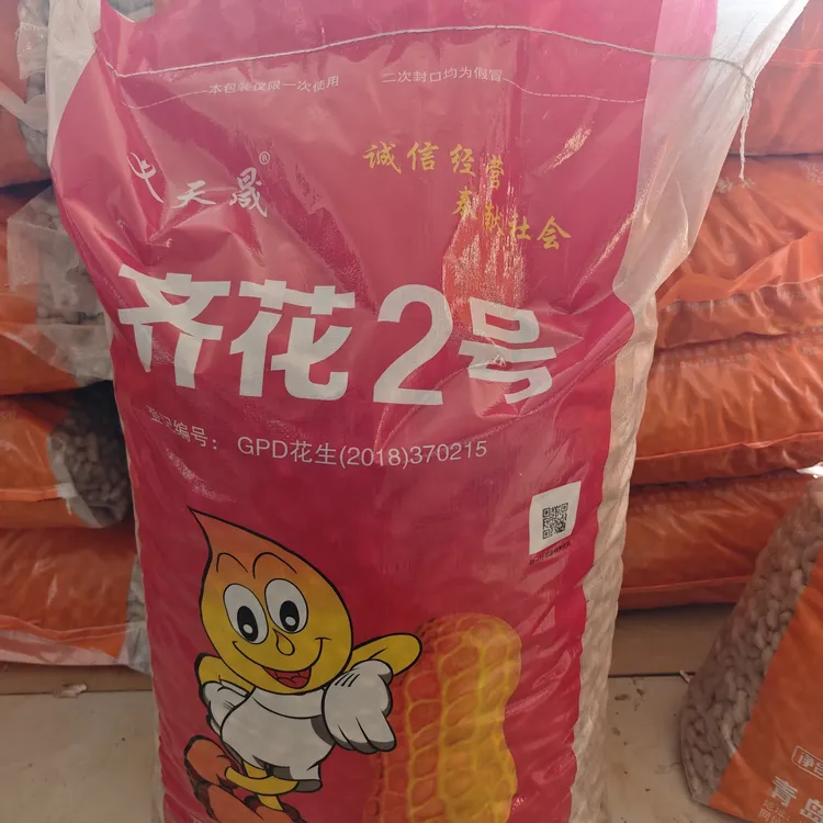 高产带壳花生原种齐花2号出口大果型不空壳