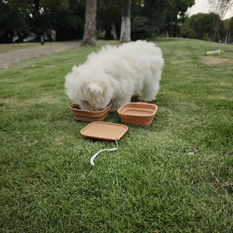 宠物便携折叠碗   可拆卸  装水装粮均可   食品级PP