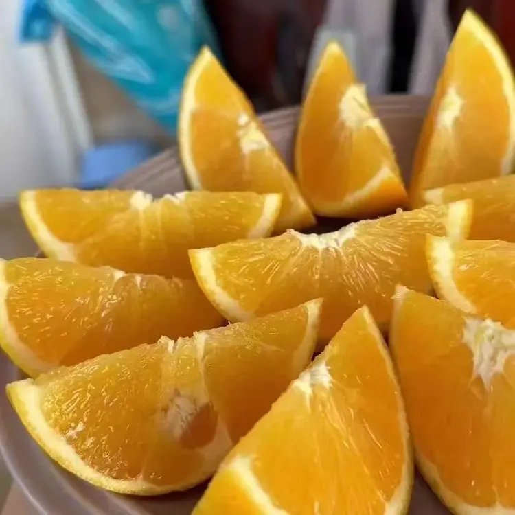 正宗赣南纽荷尔高山脐橙新鲜应季水果现摘现发