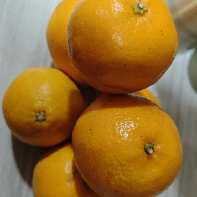 新鲜现摘当季耙耙柑皮薄多汁清甜果园直发