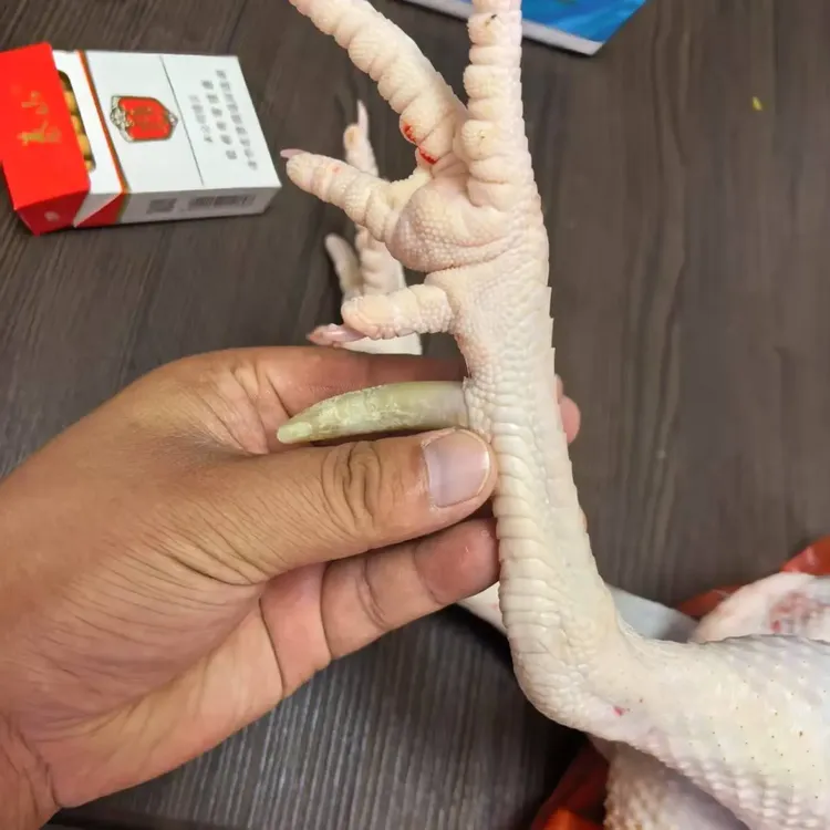 2年以上散养老公鸡4.5斤到5斤现宰速冻顺丰发货