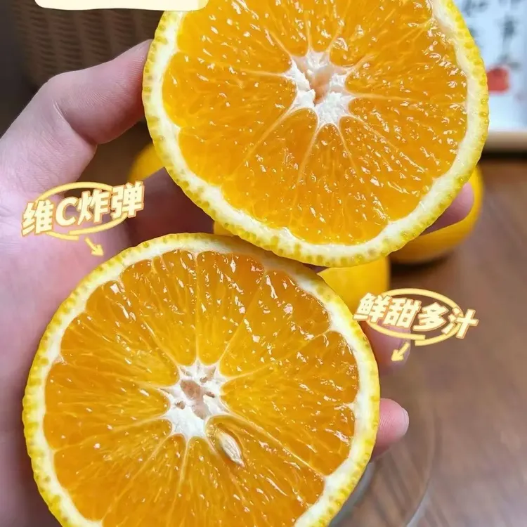 福建桔柚·甜心柚稀有品种桔子嫁接柚子·一种水果三种口味集柚橙橘