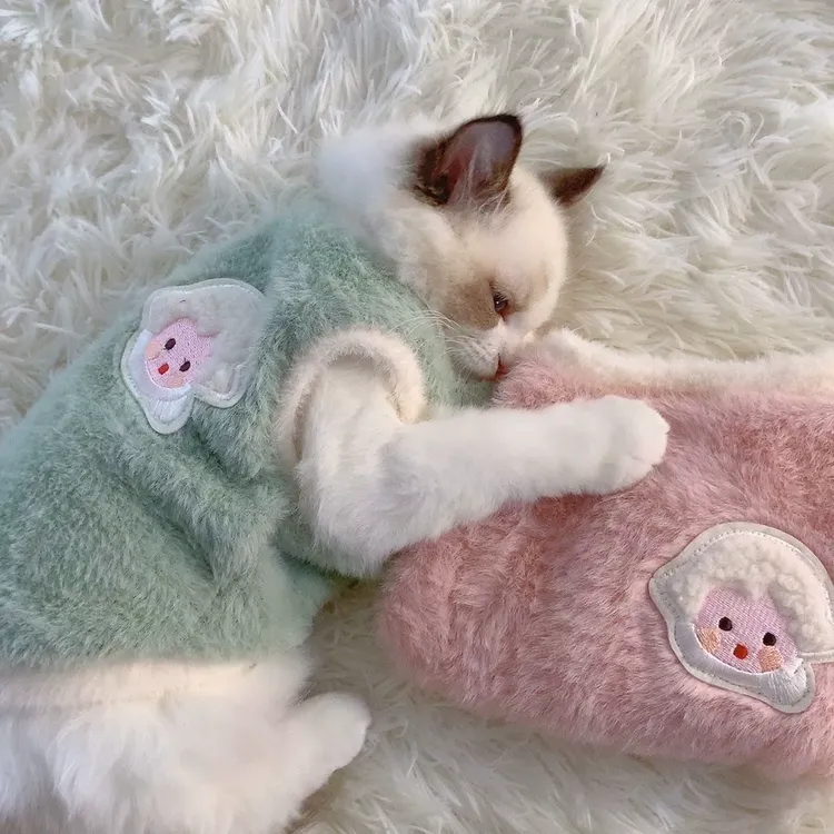 可爱秋冬季猫咪衣服狗狗冬保暖加厚背心布偶宠物衣服小型犬TKV