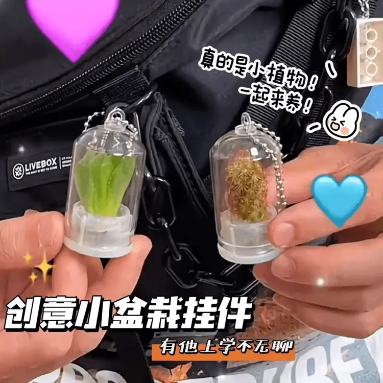 【曲奇】迷你多肉植物挂件微缩景观钥匙扣创意多肉钥匙挂件汽车挂件