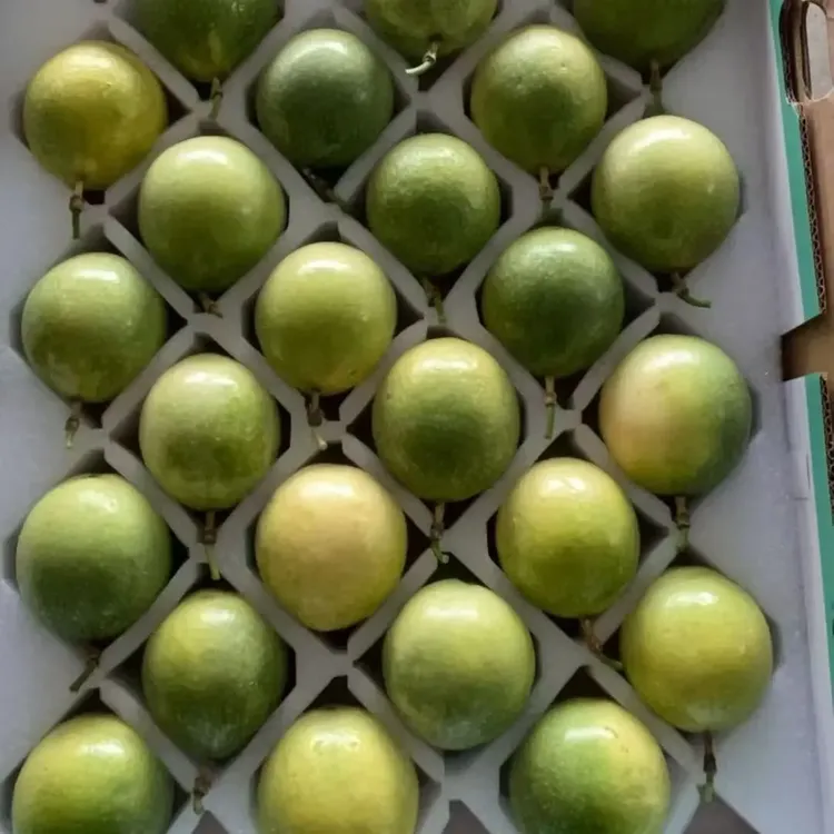 正宗钦蜜九号百香果广西新鲜现摘孕妇当季水果香甜多汁