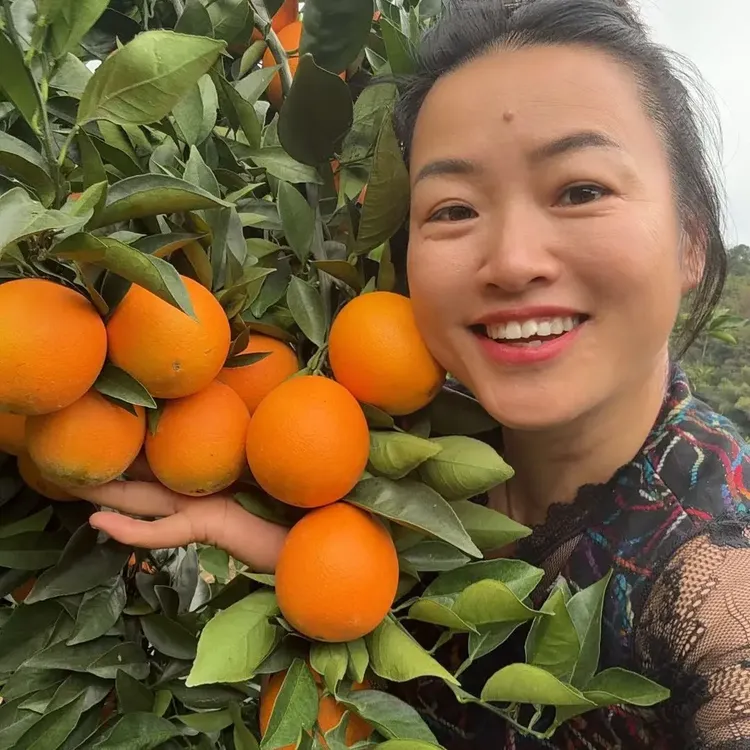 正宗赣南脐橙自家果园新鲜现采现发清甜爆汁脐橙应季水果