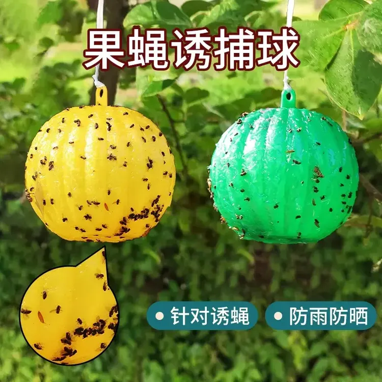 粘蝇球苍蝇贴强力粘蝇球捕蝇子蚊子克星小飞虫诱捕好物果蝇诱捕器
