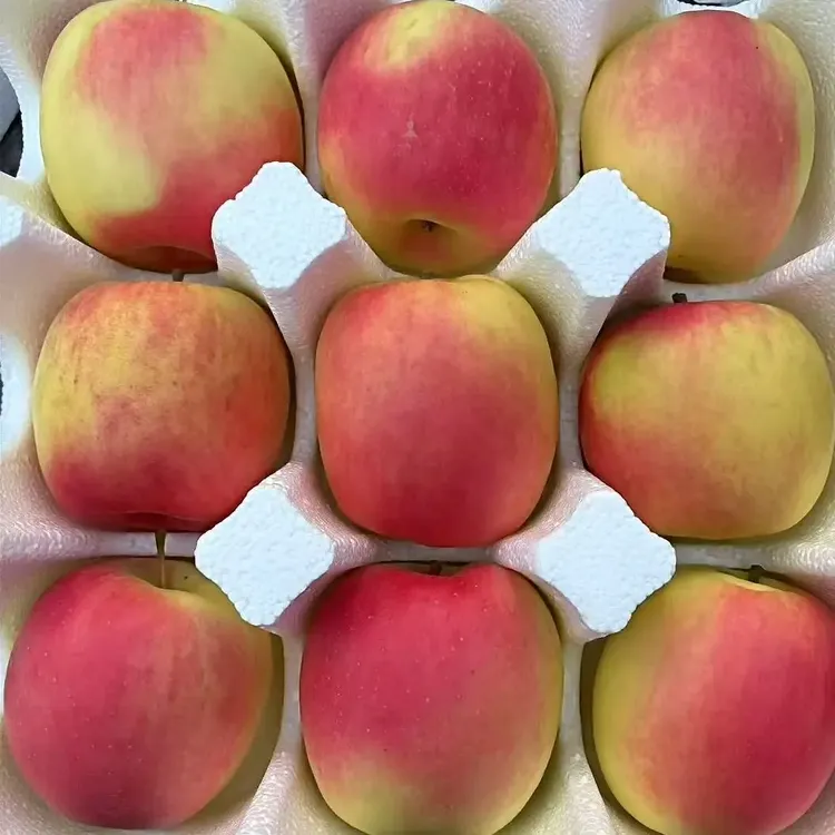 瑞雪苹果脆甜多汁（偏远地区不能发货的亲请留言感谢支持）
