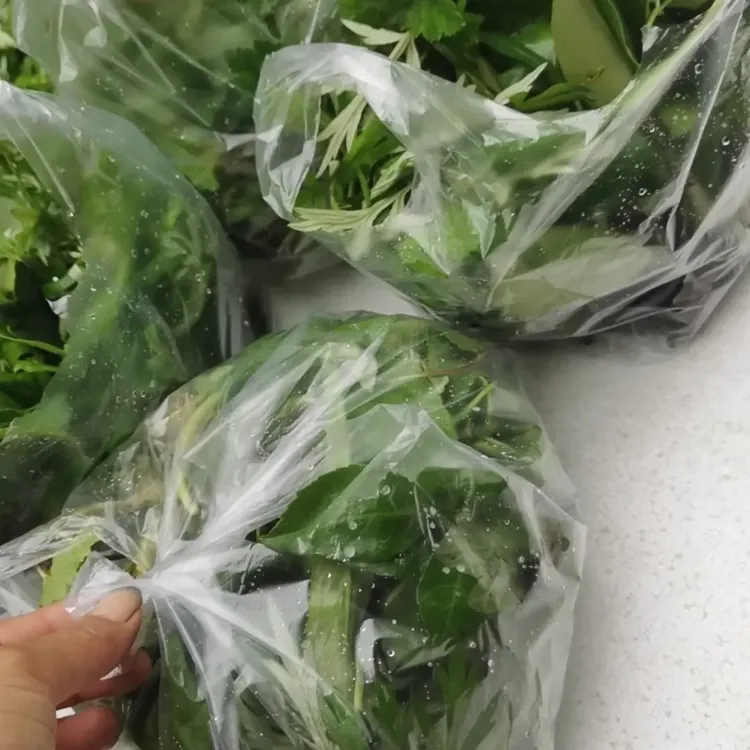 客家擂茶油茶配料新鲜采摘油茶菜