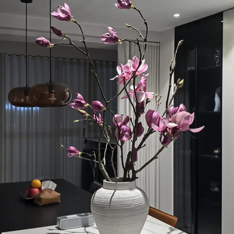 玉兰花鲜枝带花苞水培植物室内好养易活森系年宵花