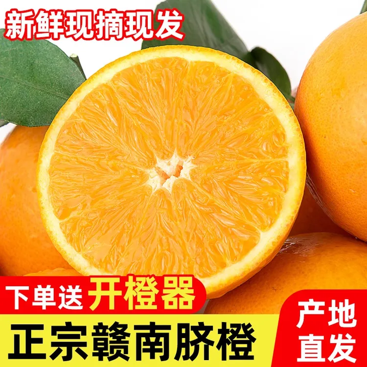 【赣州直发】正宗赣南脐橙信丰新鲜现摘整箱现发爆甜多汁送剥皮器