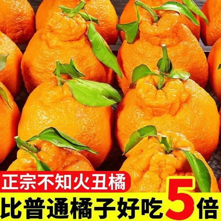 高山丑八怪不知火丑橘时令水果新鲜丑柑橘子当季丑橘子现摘整箱发
