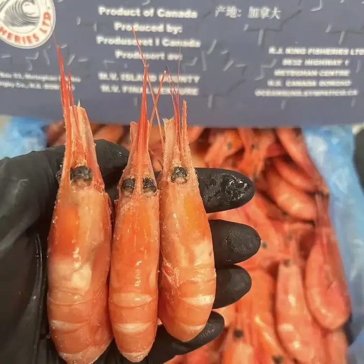 头籽北极甜虾生冻即食冰虾刺身甜虾原盒熟冻