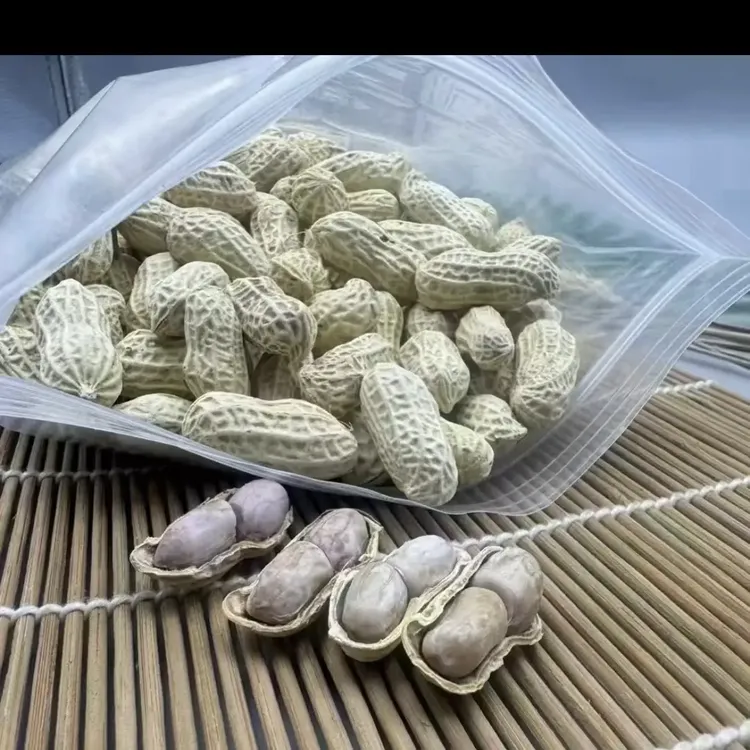 本地水煮晒干花生日晒带壳坚果零食软糯鲜香