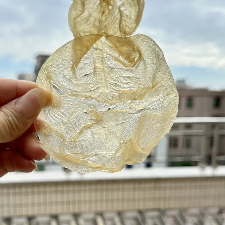 甲肚蜘蛛片渔民自晒深海厚肉足干零腥味炖汤滋补花胶干货