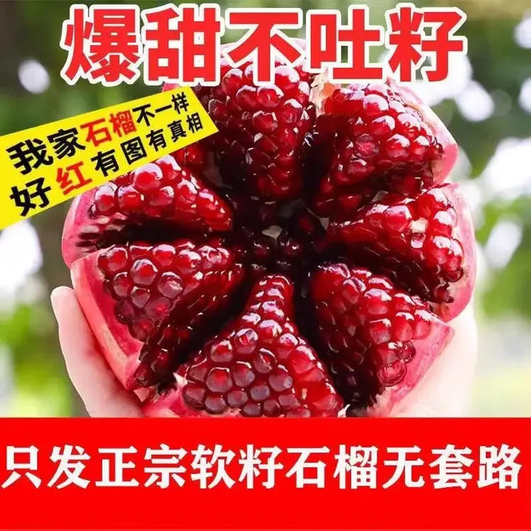软籽石榴爆汁皮薄新鲜水果整箱四川会理石榴无籽石榴应季水果W99
