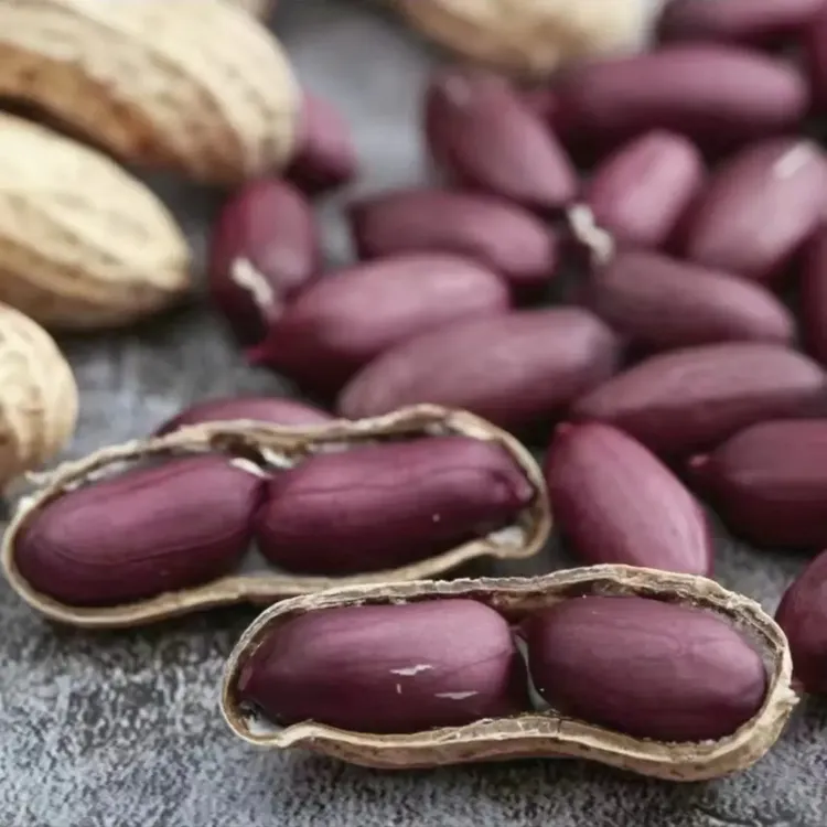 2025年8月新货上市正宗富硒黑花生坚果零食煮粥农家大田黑紫花生