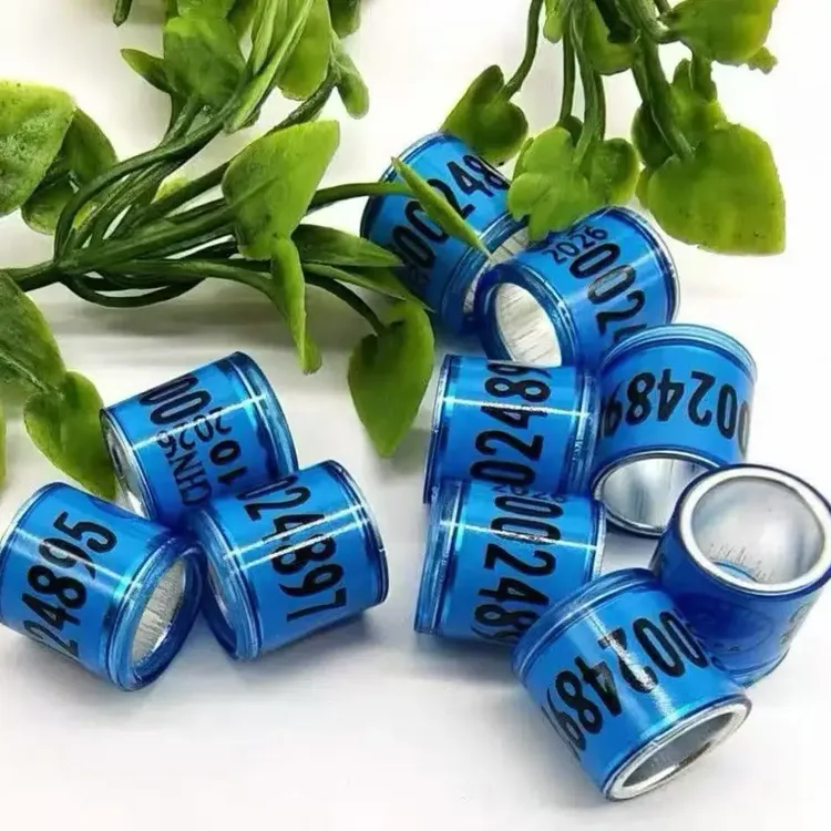 2026-19广东统一足环 二组 20个