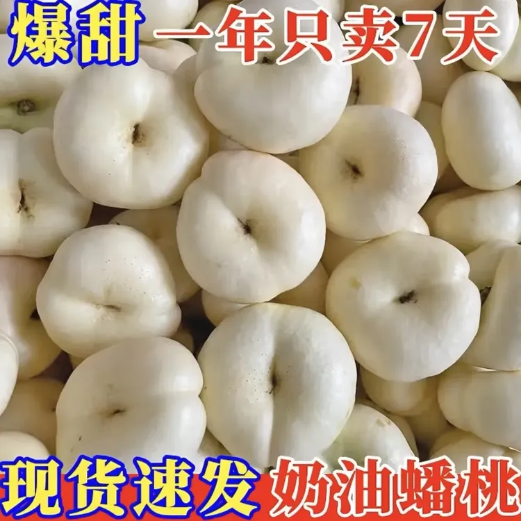 山东正宗蒙阴应季奶油蟠桃现摘现发纯甜无酸新鲜水果