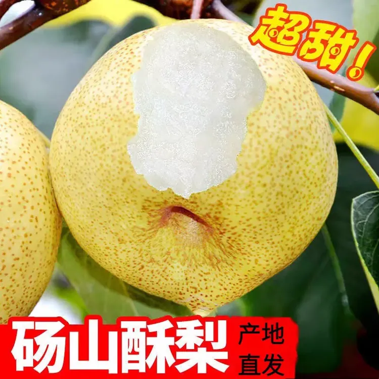 【现摘先发】正宗砀山青梨青皮10斤整箱当季水果新鲜皇冠梨香甜可口