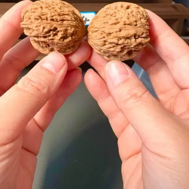 原生态涿鹿南将石 红皮天残 无黄 全品无修 36-37尺寸差一毫米