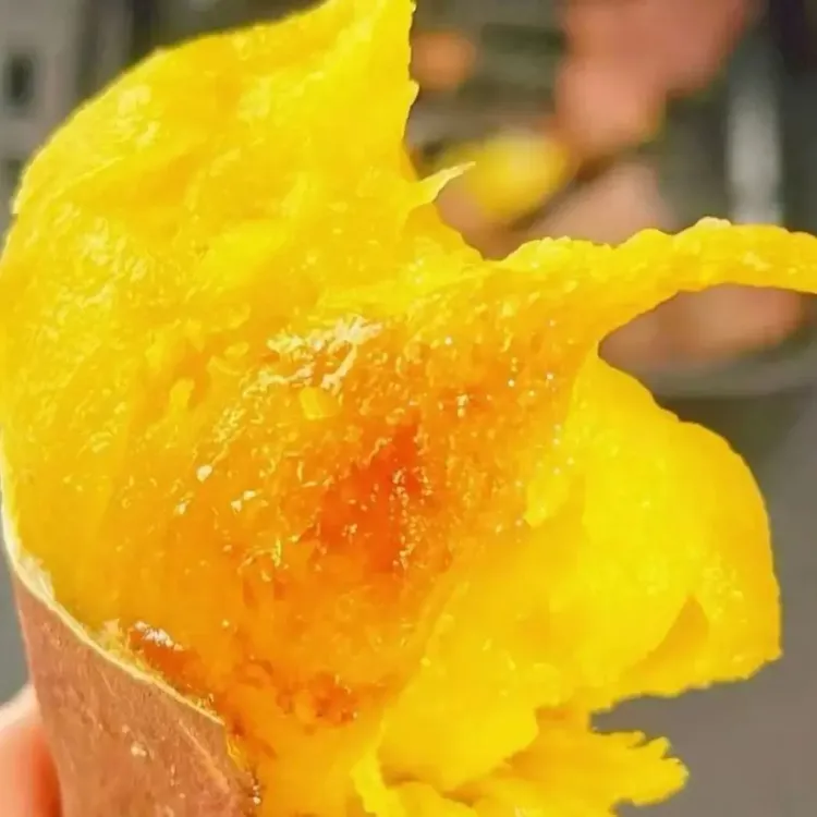 蜜薯沙地现挖金瑶蜜薯软糯香甜丝滑流蜜烤地瓜新鲜粗粮番薯