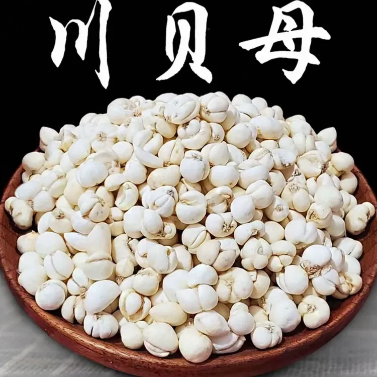 【野生】川贝母现货现发野生川贝母新货干货无硫特级川贝母正根茎