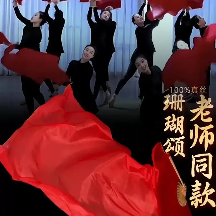 老师同款珊瑚颂颂舞蹈双面真丝舞蹈扇子