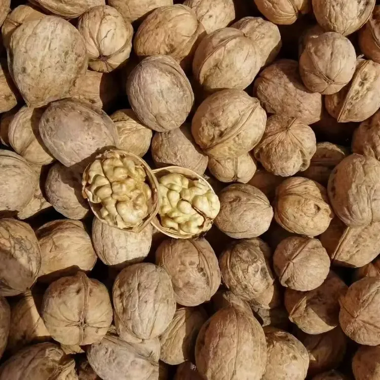 无水洗无漂白纯天然原生态的185纸皮核桃 原产地直发