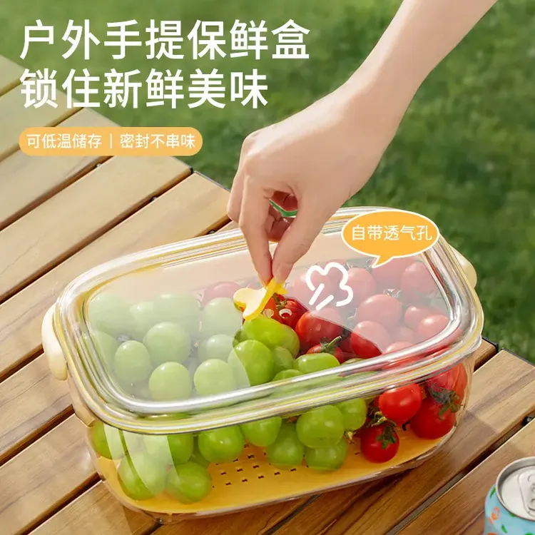 手提便携保鲜盒出户外春游冰箱食物办公野餐便携水果密封盒大容量