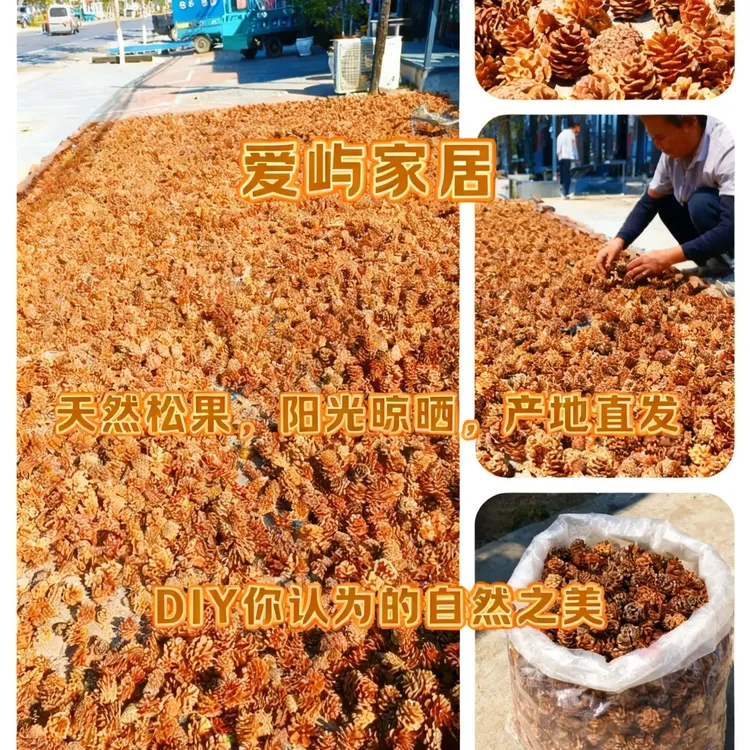 松果圣诞装饰手工材料幼儿园辅材diy松塔球装饰干花