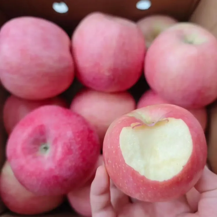 红富士苹果脆甜多汁皮薄爽口产地直发新鲜水果