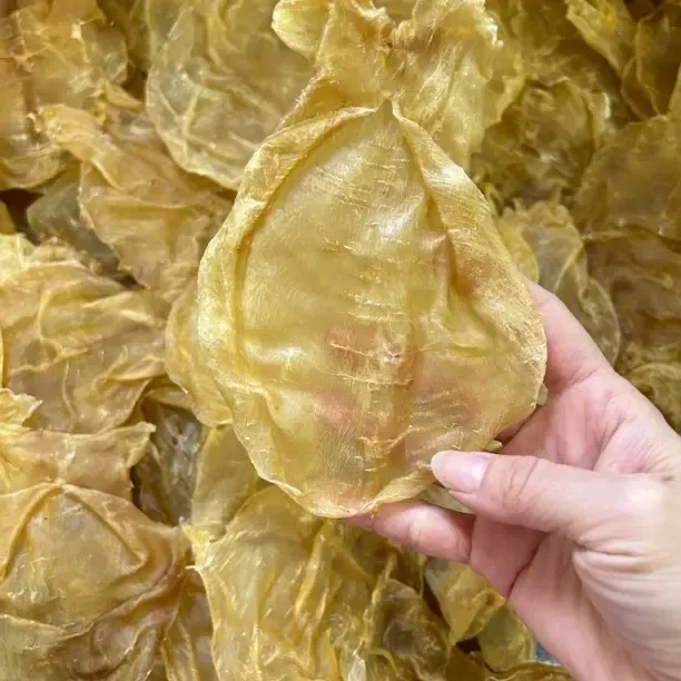 精选老货甲肚蜘蛛片鱼胶滋补佳品